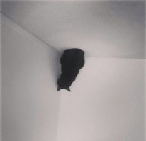 Тест : Кто запечатлён на этих фотографиях, мужчина или женщина?