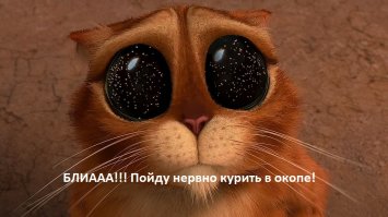 Если бы в песне пелось о том, что происходит в клипе