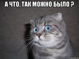 Да что там происходит