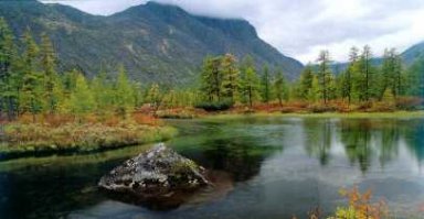 А ещё есть такое понятие на Колыме,да и вообще на Севере,как "жечь покрышки".Это когда машина в мороз встаёт на трассе из-за неполадок,а до ближайшего поселения,как написал автор этого искромётного триллера-300 км.Хотя может быть и меньше,а может и ещё больше-тут кому как повезёт.И водителю ничего больше не остаётся,как жечь покрышки,чтобы выжить и дождаться помощи.Потом когда их находили,то водилы напоминали Федю из "Приключений Шурика"-все в копоти и саже,но радостные от того,что живые и что их нашли.Наверное,поэтому на всём протяжении Колымской трассы по обочине дорог валяются старые покрышки-их никто не убирает-кому-то и жизнь может спасти эта ненужный кусок резины. Сам ездил по трассе только летом,но впечатлений хватило надолго-дорога асфальтированная частично,в основном же накатанная грунтовка,отсыпанная гравием,и понятие "ездить,как по стиральной доске",как раз в точку.Если впереди вас едет какой-нибудь грузовик,то это пестец-из-за клубов пыли не видно дальше 100-200 метров.И много памятников,венков,крестов вдоль дороги-хотя,в общем-то,этим Россию не удивишь нигде.Здесь же,на трассе,впервые,увидел в 2000-м году заброшенный посёлок-это вообще лютый пестец в квадрате!А если вам ещё и посчастливилось увидеть остатки заброшенных лагерей эпохи "вождя народов"-то,боюсь,ваше мировозрение может основательно претерпеть некие изменения,да и само ваше отношение к жизни,как таковой,тоже изменится.Желающие могут "погуглить" название самого известного лагеря Бутугычаг,и посмотреть фотографии,а ещё лучше почитайте Варлама Шаламова и его "Колымские рассказы".Короче,хоть и не для слабонервных и хлюпиков это место,под название Колыма,но равнодушным она точно никого не оставит.
