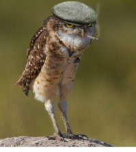 Какие же они все таки классные