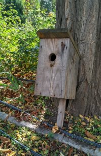 безопасность на уровне!