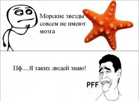 На белом море их много, а вот в чёрном почему-то нет