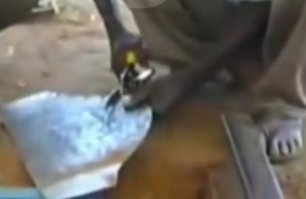 Действительно. Может потому-что они в кадре мелькали несколько раз?