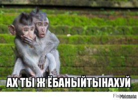 Образец иранских пособий для обучения в школе