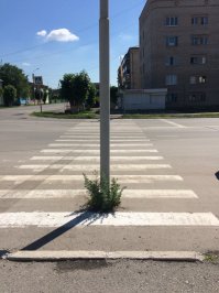 Очередь за протоколами в Уфе