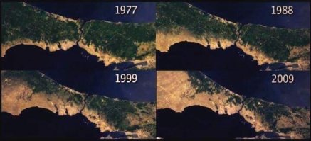 Грё баные веганы