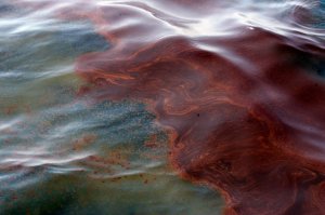 Какой баран может спутать это с разливом нефти?