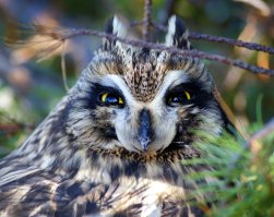 Какие же они все таки классные