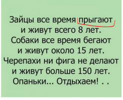 ХОХЛАМ на заметку*