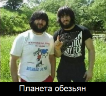 и их к парикнахеру, распушить))