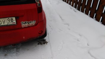 Свежая подборка автоприколов