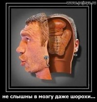 Новости науки