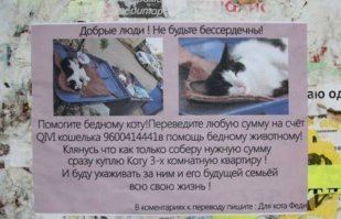 Полицейский спецназ взял шефство над бездомной кошкой