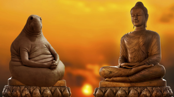 Ахтунг - Ждуна Перенесли!