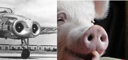 Уж больно он мне кого-то напоминает!