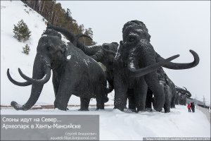 Через пару лет мы увидим живых мамонтов!