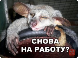 Каждое утро испытываю это чувство, всю неделю до пятницы включительно:)