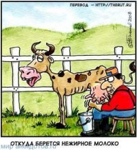 Молоко среди нас