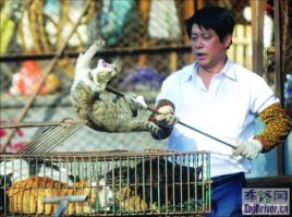 Вот этот чувачок точно разницу знает