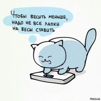 Весна идет - весне дорогу!