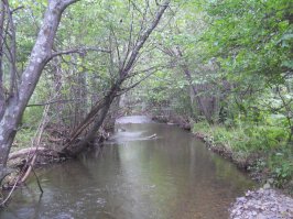 Красоты матушки Тайги !