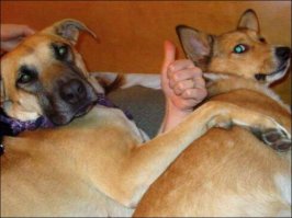 Фотошоп-тролль снова принимается за дело