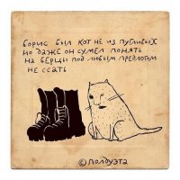 Полицейский спецназ взял шефство над бездомной кошкой