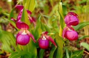 А вот что очень ценно - нет там никого. Хоть на неделю бы туда. Отдохнуть. 
---------------------------

:) Приезжай к нам в Сибирь,  тут в любую сторону, куда-ни посмотри - нету никого. На подкаменной тунгуске в среднем 150-180 чел, на 2000 квадратных километров. ;););)