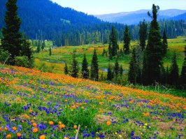 А вот что очень ценно - нет там никого. Хоть на неделю бы туда. Отдохнуть. 
---------------------------

:) Приезжай к нам в Сибирь,  тут в любую сторону, куда-ни посмотри - нету никого. На подкаменной тунгуске в среднем 150-180 чел, на 2000 квадратных километров. ;););)