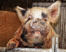 Может познакомимся...