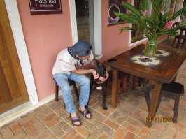 этому миляге досталась маленькая шоколадная фабричка недалеко от Итакаре)
Кстати, кличка - Обама (прошлый год)