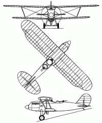 Еще был двухместный опытный вариант ДИ-2 (Д-2). Но его закрыли после катастрофы в 1930-м.