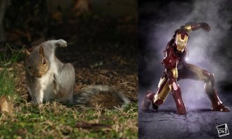 Белка рулит!