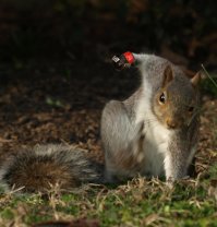 Фотоподборка за 21.02.2017