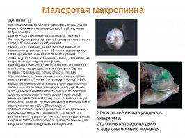 интересный пост, спасибо;)