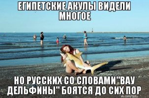 Покормила рыбок на 3000 баксов