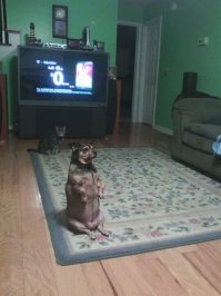 неприятно смотреть на это фото