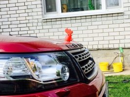 Надеюсь не мужик, а барышня на этой авто катается:)