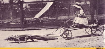 Ретрофото из серии «Что за хрень?!»