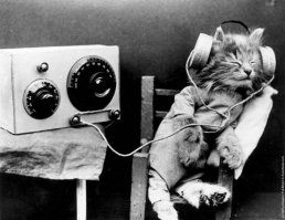 Ретрофото из серии «Что за хрень?!»