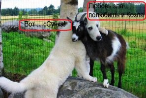 Зрелищные фото, сделанные в нужный момент!