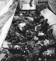 жуткое фото.
Пушечное мясо.