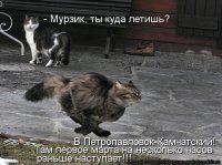 Весна идет - весне дорогу!