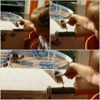 Зрелищные фото, сделанные в нужный момент!