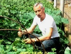 Курица снесла слишком большое яйцо и хозяйка решила проверить, что там внутри