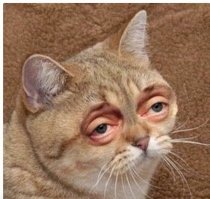 и отвечаю вродиб правильно, а всё равно вот так