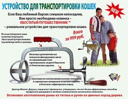 С чем это носить, или 30 самых ужасных женских аксессуаров