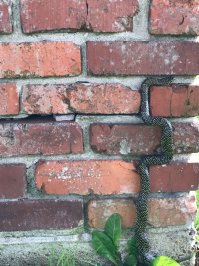 напомнило!)