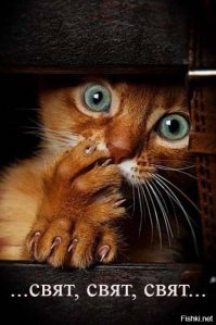 Прикольные мужики